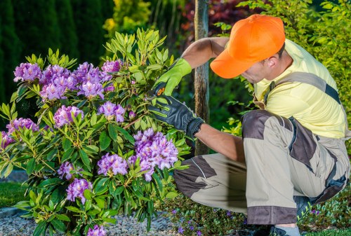 Gardening service terms document opening section