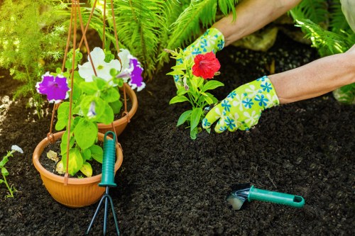 Gardeners New Addington providing reliable year-round garden care