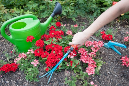 Removing green waste during garden clearance in New Addington