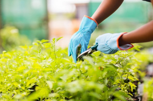 Local gardeners using protective equipment during maintenance work