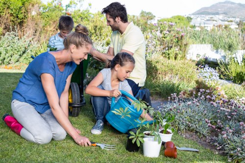 Garden hedge maintenance in New Addington during seasonal care