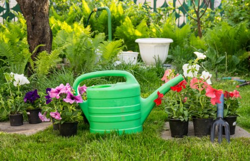 New Addington garden maintenance with flowering borders