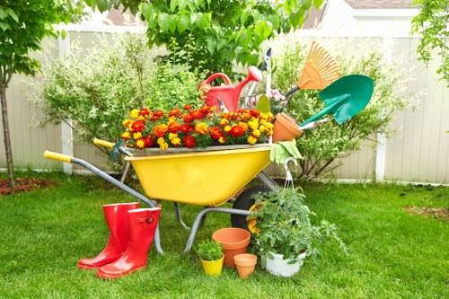 Illustration representing accessible gardening services in New Addington