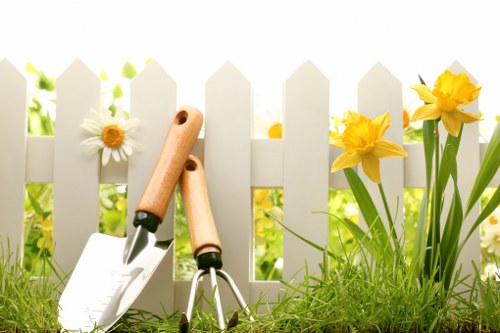 Garden lawn mowing and feeding service in New Addington
