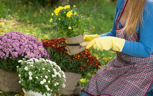 Final stage of a gardeners complaints procedure