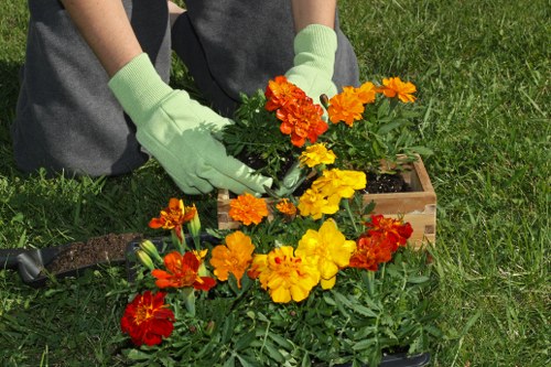 Pruning and hedge care by gardeners in New Addington