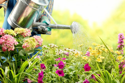 Professional garden waste removal in New Addington