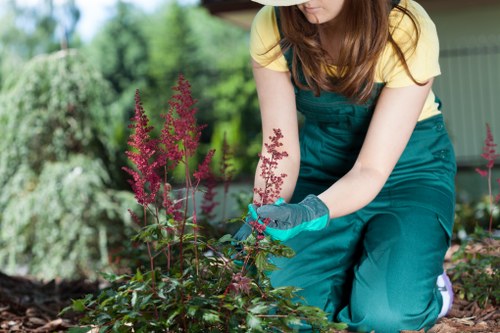 Inclusive accessibility statement for local gardening services in New Addington