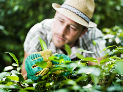 Transparent pricing model for Gardeners New Addington services