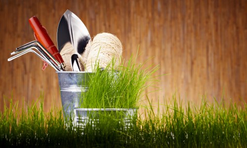 Seasonal lawn care and mowing in a New Addington backyard