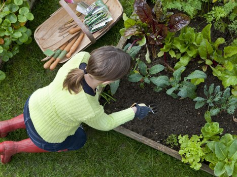 Low-carbon van used for sustainable garden services