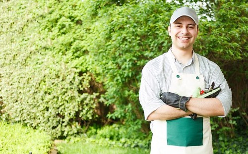 Weed control and garden tidy-up service in New Addington