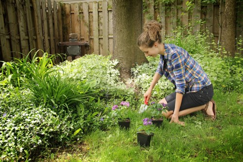 Lawn care and edging as part of New Addington gardening services