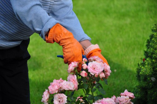 Lawn mowing and hedge trimming for New Addington gardens