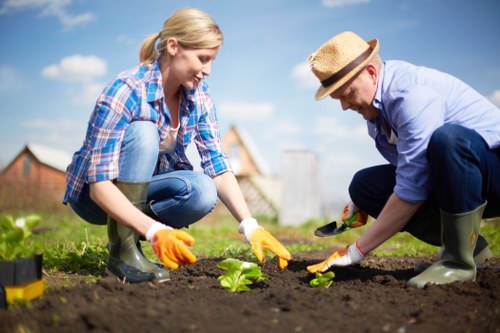 Supplier standards and monitoring for New Addington gardeners