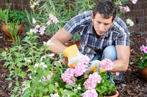 Practical landscaping services for a New Addington home garden