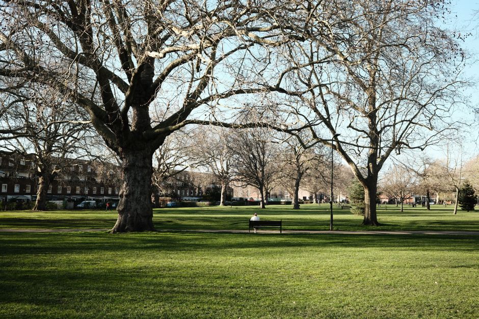 A tranquil park scene featuring a well-maintained grassy lawn with neatly trimmed, lush green grass in the foreground. Several large deciduous trees with bare branches stretch across the landscape, in